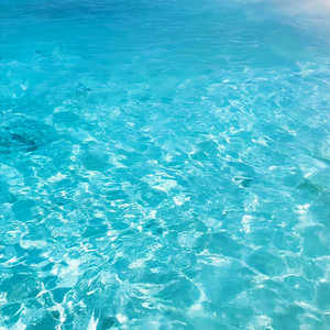 Wait in silence (默默等待)