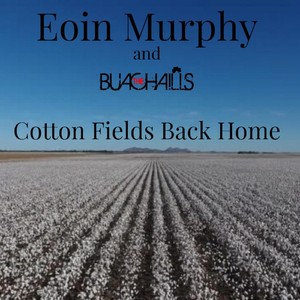 Cotton Fields Back Home