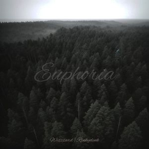 Euphoria (Explicit)