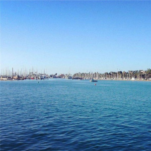 漂洋过海来看你 (英文版|DJ阿福、DJ乙烯烯- -版|DJ皮皮子版)