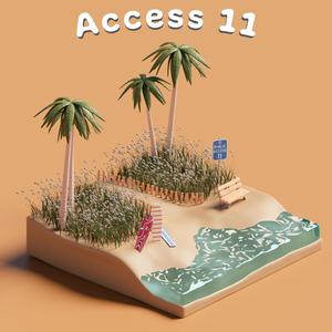 Access 11