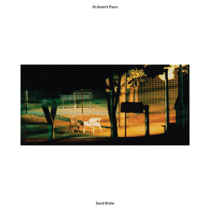 David Bridie - Wash The Pain Away