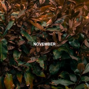 NOVEMBER