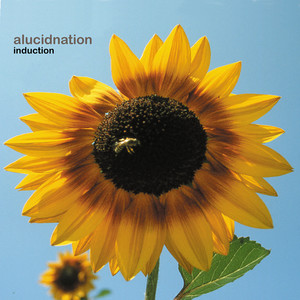 Alucidnation - Beautiful House