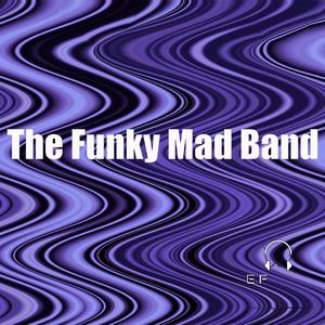 The Funky Mad Band