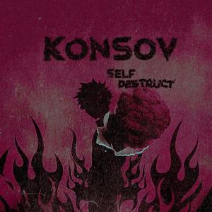 self destruct (Explicit)