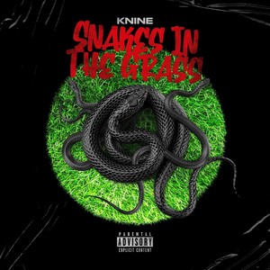 Snakes in the Grass (Explicit)