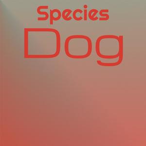 Species Dog