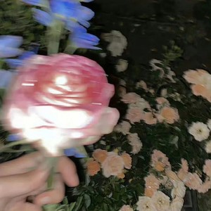 未来的我都会拥有什么