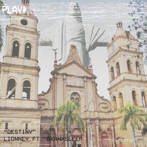 Destiny(feat. Bka) (Explicit)