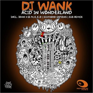 Acid In Wonderland (SUB Remix)
