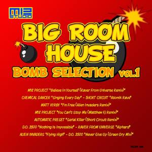 Big Room House Bomb Selection Vol.1