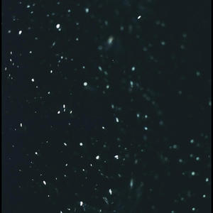 everything in its right place