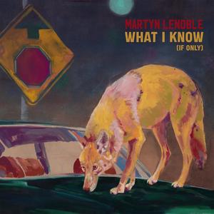 What I Know (If Only)