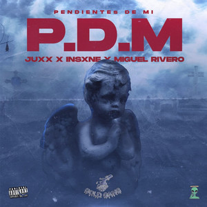 P D M
