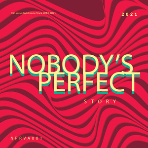 Nobody's Perfect Story (Explicit)