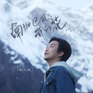 南迦巴瓦开的花 (献礼版)