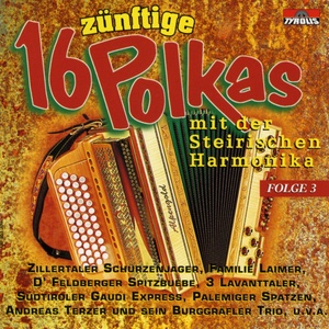 16 zünftige Polkas mit der Steirischen Harmonika / Folge 3