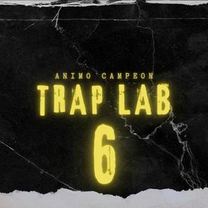 Trap Lab 6