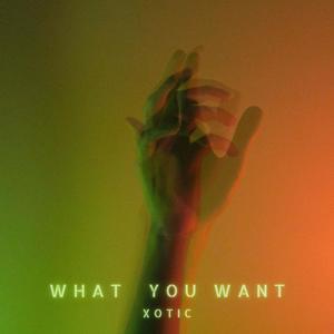 What You Want (Explicit)