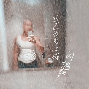 我已经爱上你 (片段版)