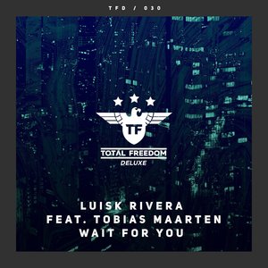 Wait For You (Extended Mix)