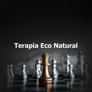 Expressiveness Successful