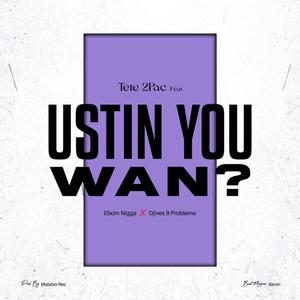 Ustin you want? (feat. Tete 2pac & Ebom Nigga)