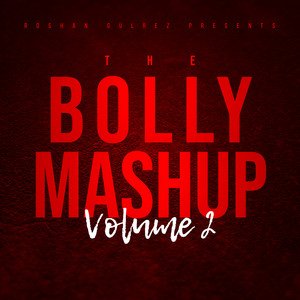 The Bolly Mashup, Vol. 2