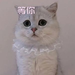 第一时间