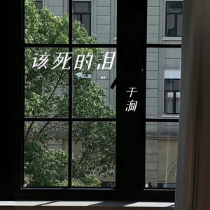 该死的泪 (Remix)