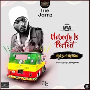 Nobody Is Perfect (Irie Bus Riddim|Explicit)