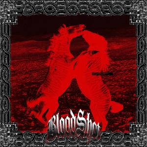 shooted ▄︻┻┳═一 LUNAE ZEBRA (Explicit)