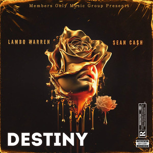 Destiny (Explicit)