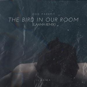 The Bird in Our Room (ILAAMA Remix)