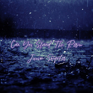 Can You Stand the Rain