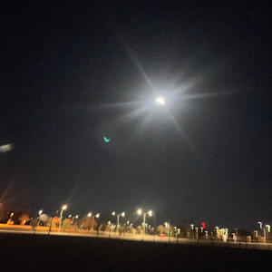 Cupid & Doves (feat. One Above) (Explicit)