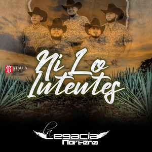 Ni Lo Intentes (Cover)