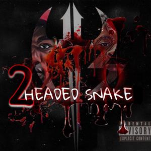 2 Headed Snake (Explicit)