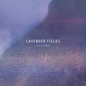 Lavender Fields