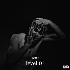 level 01 (Explicit)