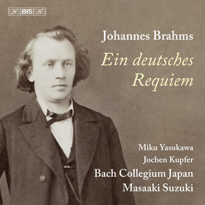 Ein deutsches Requiem, Op. 45 - V. Ihr habt nun Traurigkeit