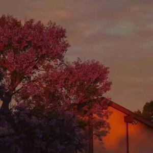 不要对我说再见