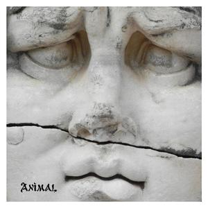 Animal (feat. Igor Fabiano & Zephyr) (Drift Mix)