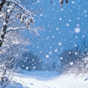 去有风的地方-ProdbyMend&陆琪琪