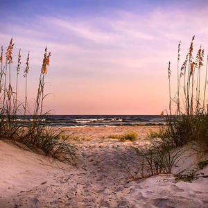 Tybee Island (Prd. by Balance Cooper) (Explicit)