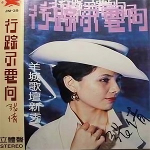 悠悠银光中