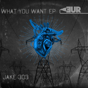What You Want (Original Mix)