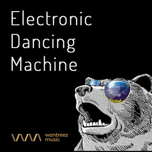 Electronic Dancing Machine