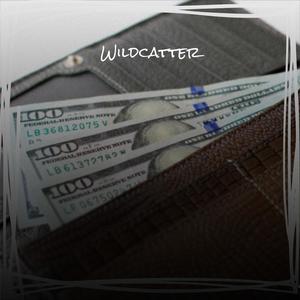 Wildcatter